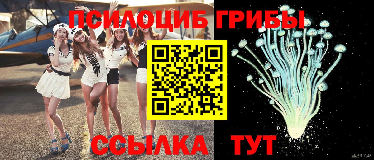 Псилоцибиновые грибы мухоморы  Вход с VPN  Галлюциногенные грибы Psilocybe  Луховицы 